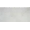 Futur gris argenté
